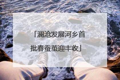澜沧发展河乡首批春蚕茧迎丰收