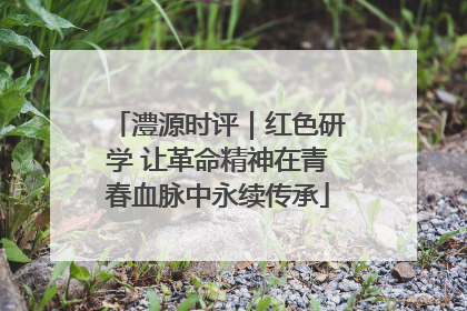 澧源时评｜红色研学 让革命精神在青春血脉中永续传承
