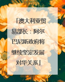 澳大利亚贸易部长：阿尔巴尼斯政府将继续坚定发展对华关系