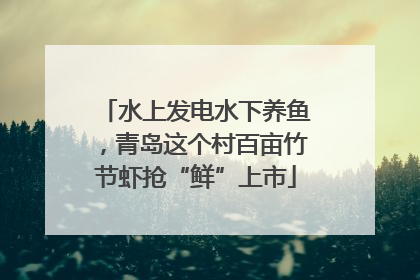 水上发电水下养鱼，青岛这个村百亩竹节虾抢“鲜”上市