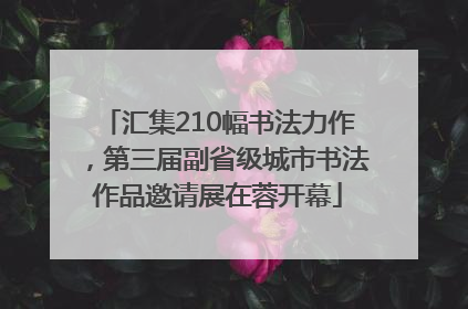 汇集210幅书法力作，第三届副省级城市书法作品邀请展在蓉开幕