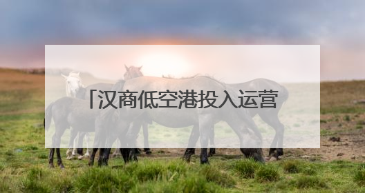 汉商低空港投入运营 航线覆盖武汉三镇