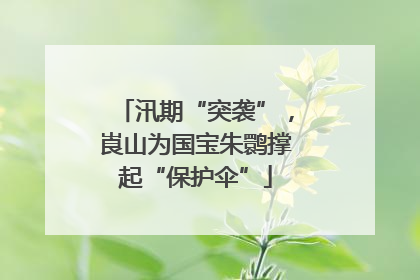 汛期“突袭”，崀山为国宝朱鹮撑起“保护伞”