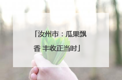 汝州市：瓜果飘香 丰收正当时