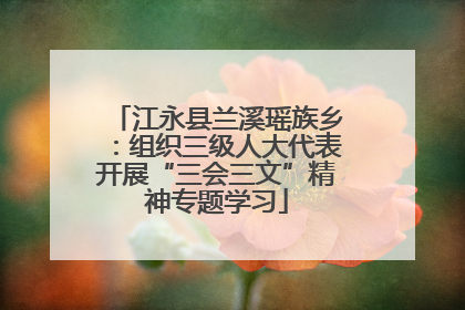江永县兰溪瑶族乡：组织三级人大代表开展“三会三文”精神专题学习