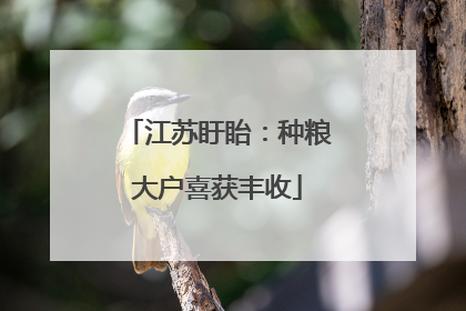 江苏盱眙：种粮大户喜获丰收