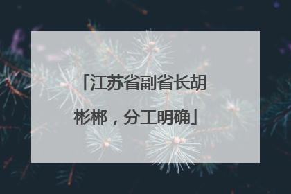 江苏省副省长胡彬郴，分工明确