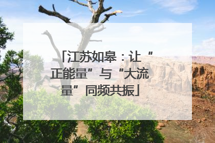 江苏如皋：让“正能量”与“大流量”同频共振