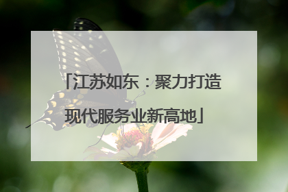 江苏如东：聚力打造现代服务业新高地