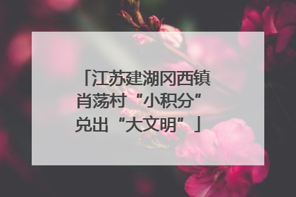 江苏建湖冈西镇肖荡村“小积分”兑出“大文明”