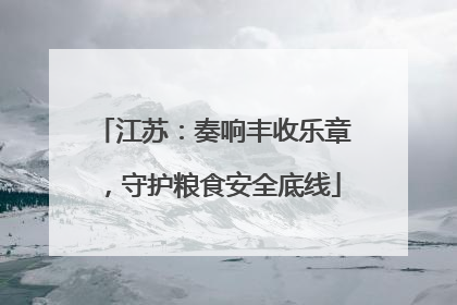 江苏：奏响丰收乐章，守护粮食安全底线