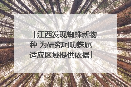 江西发现蜘蛛新物种 为研究呵叻蛛属适应区域提供依据