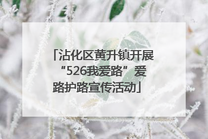 沾化区黄升镇开展“526我爱路”爱路护路宣传活动