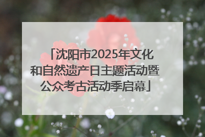 沈阳市2025年文化和自然遗产日主题活动暨公众考古活动季启幕