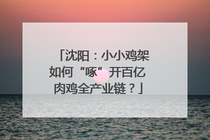 沈阳：小小鸡架如何“啄”开百亿肉鸡全产业链？