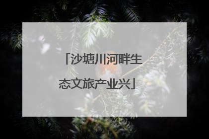 沙塘川河畔生态文旅产业兴