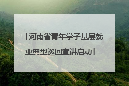 河南省青年学子基层就业典型巡回宣讲启动
