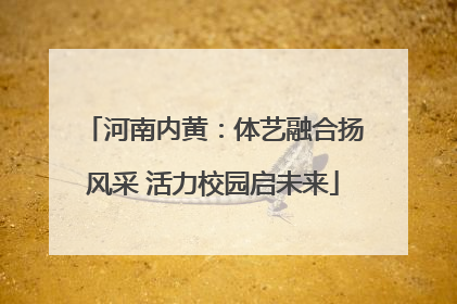 河南内黄：体艺融合扬风采 活力校园启未来