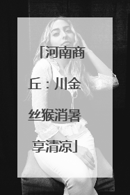 河南商丘：川金丝猴消暑享清凉