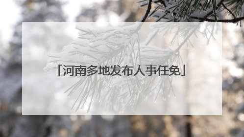 河南多地发布人事任免
