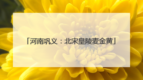 河南巩义：北宋皇陵麦金黄