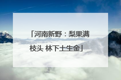 河南新野：梨果满枝头 林下土生金