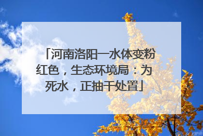 河南洛阳一水体变粉红色，生态环境局：为死水，正抽干处置