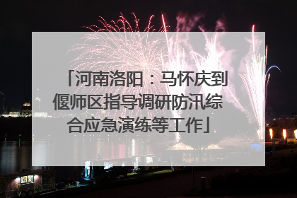 河南洛阳：马怀庆到偃师区指导调研防汛综合应急演练等工作
