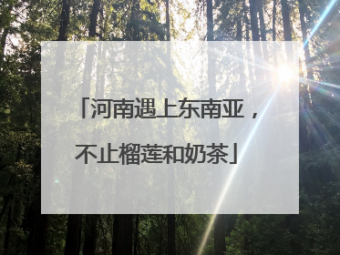 河南遇上东南亚，不止榴莲和奶茶
