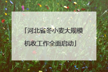 河北省冬小麦大规模机收工作全面启动