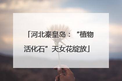 河北秦皇岛：“植物活化石”天女花绽放
