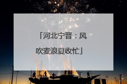 河北宁晋：风吹麦浪夏收忙