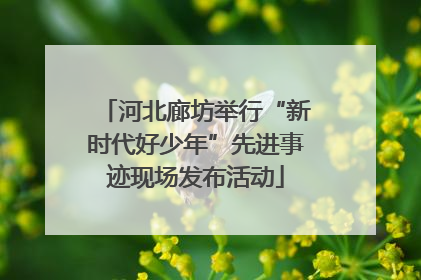 河北廊坊举行“新时代好少年”先进事迹现场发布活动