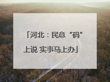 河北：民意“码”上说 实事马上办