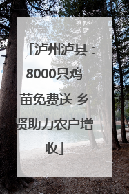 泸州泸县：8000只鸡苗免费送 乡贤助力农户增收