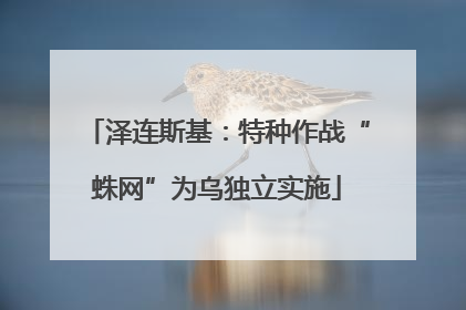 泽连斯基：特种作战“蛛网”为乌独立实施