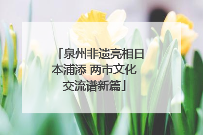 泉州非遗亮相日本浦添 两市文化交流谱新篇