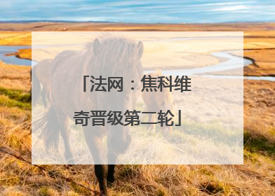 法网：焦科维奇晋级第二轮