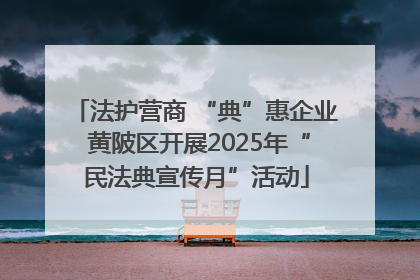 法护营商 “典”惠企业 黄陂区开展2025年“民法典宣传月”活动