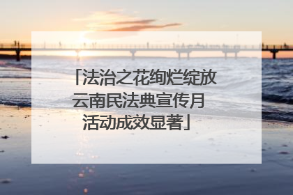 法治之花绚烂绽放 云南民法典宣传月活动成效显著