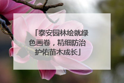 泰安园林绘就绿色画卷，精细防治护佑苗木成长