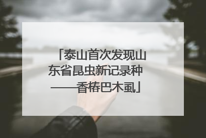 泰山首次发现山东省昆虫新记录种——香椿巴木虱