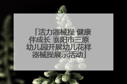 活力器械操 健康伴成长 襄阳市三原幼儿园开展幼儿花样器械操展示活动