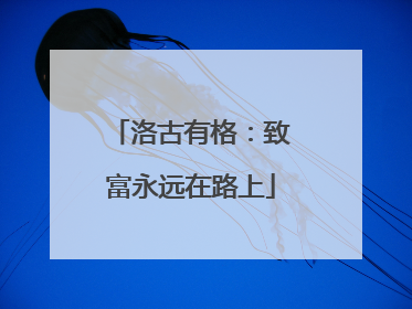 洛古有格：致富永远在路上