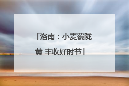 洛南：小麦覆陇黄 丰收好时节