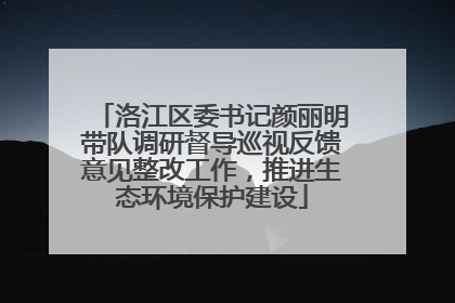 洛江区委书记颜丽明带队调研督导巡视反馈意见整改工作，推进生态环境保护建设