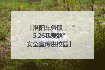 洛阳车务段：“5.26我爱路”安全宣传进校园