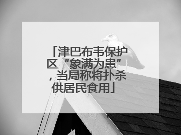 津巴布韦保护区“象满为患”，当局称将扑杀供居民食用