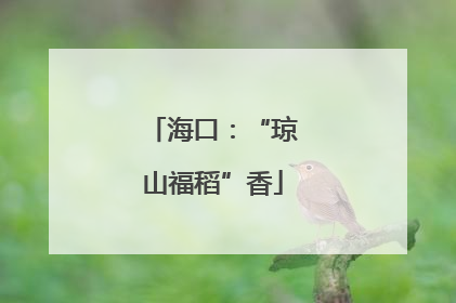 海口：“琼山福稻”香