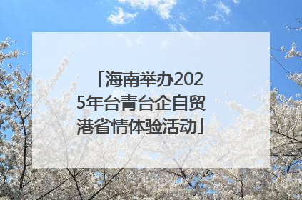 海南举办2025年台青台企自贸港省情体验活动